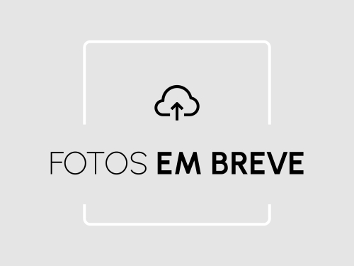 Voltz EV-1 2019